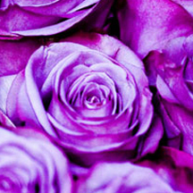 网络ddos攻击软件